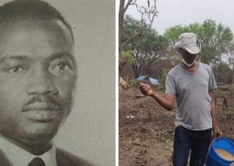 AGRICULTURE-Sur les traces d’Emile Badiane-ce haut cadre de l’administration-passait ses vacances dans les champs de la verte Casamance
