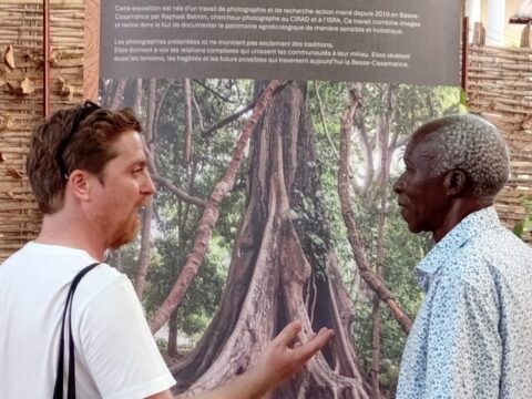 Dossier : Agroécologie en Basse-Casamance