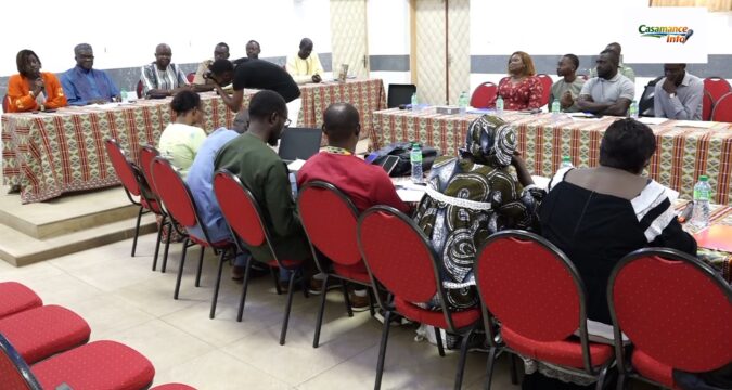 Prise en charge de la santé mentale des victimes de VBG : une situation préoccupante en Casamance