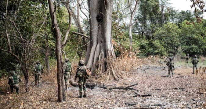 Ziguinchor : plus de 80 billons de teck saisis par l’armée