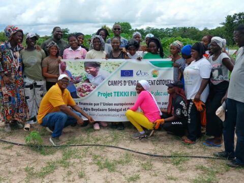 Ziguinchor : immersion au camp de vacances agricoles (Tekki Fii) de jeunes femmes à Djibélor