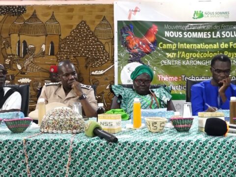 Niaguis au cœur de l’agroécologie : les femmes rurales portent la souveraineté alimentaire africaine