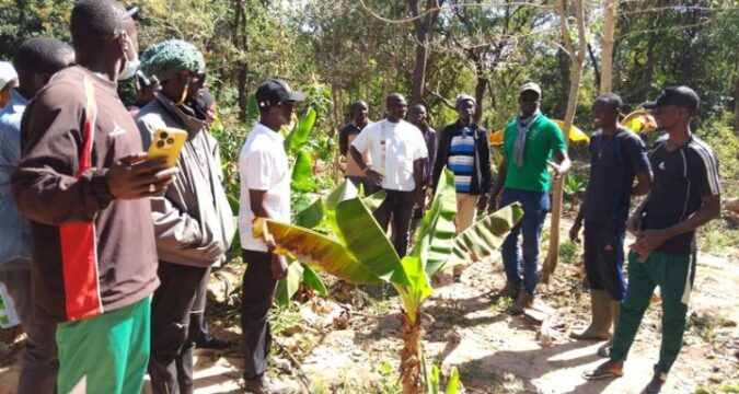 Transition agroécologique en Casamance : Bignona et Oussouye, laboratoires vivants d’une agriculture durable